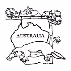 Platypus Coloring Page - The Australian Mascot Platypus Coloring Page - The Australian Mascot