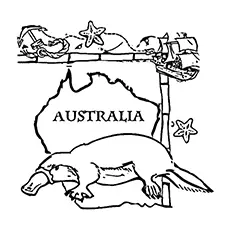 Platypus Coloring Page - The Australian Mascot