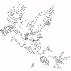 The Hawk Tinkerbell The Hawk Tinkerbell