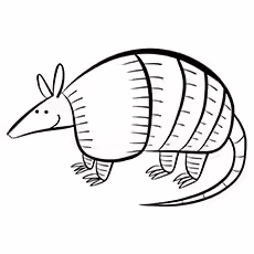 Armadillo Coloring Pages - Three Banded Armadillo Three Banded Armadillo