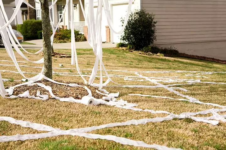 Toilet Paper Roll Crafts - Yard Rolling