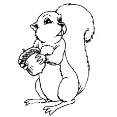 Chipmunk Coloring Pages - Yellow-Pine-Chipmunk