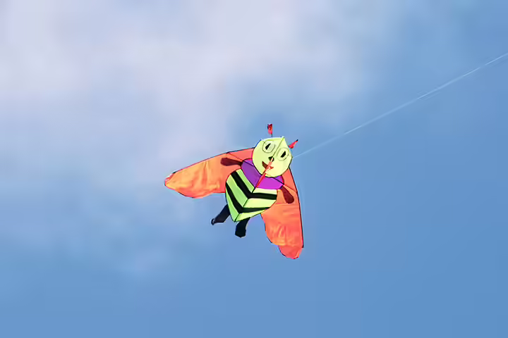 Summer Activities For Tweens - Bee Kite Summer Activities For Tweens - Bee Kite