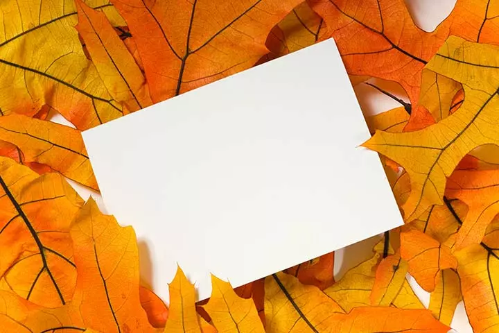 Nature notecard, thanksgiving crafts for toddlers