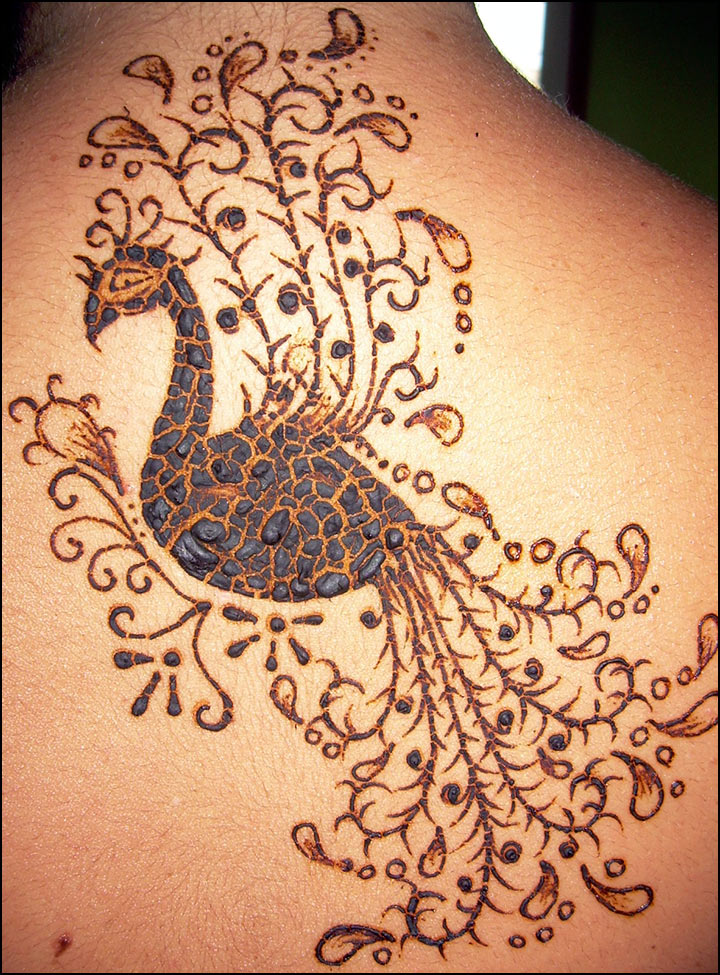 Traditional Mehndi Designs - Open Back Peacock