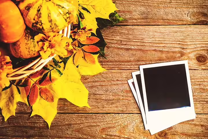 Pumpkin photo display, games for kids Pumpkin photo display, games for kids