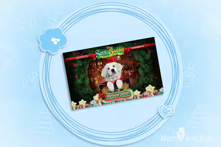 Christmas Movies For Kids - Santa Buddies Christmas Movies For Kids - Santa Buddies
