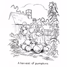 Harvest Coloring Pages - A Harvest Of Pumpkins Harvest Coloring Pages - A Harvest Of Pumpkins
