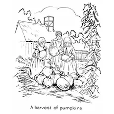 Harvest Coloring Pages - A Harvest Of Pumpkins