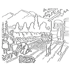 Harvest Coloring Pages - Old Method Of Harvesting