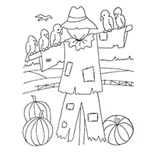 Harvest Coloring Pages - Scarecrow Protecting The Crops