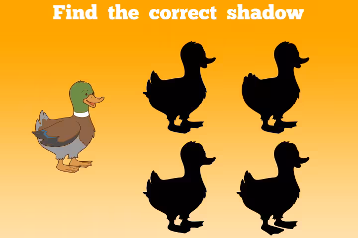 Duck Activities 