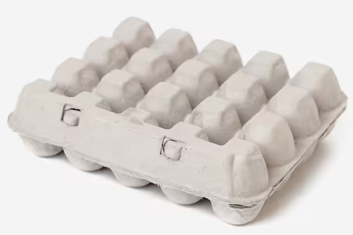 Math Activities For Preschoolers - Food In The Egg Carton Math Activities For Preschoolers - Food In The Egg Carton