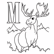 M For Moose M For Moose 17