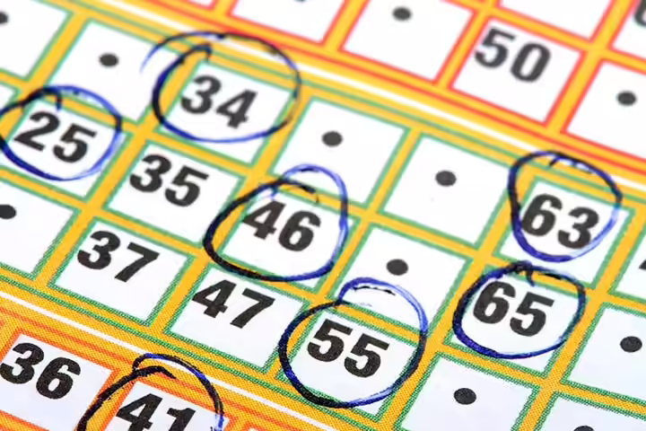Number Bingo Number Bingo