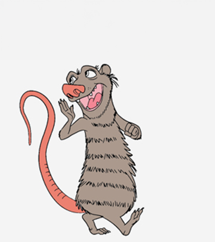 Top 10 Possum (Opossum) Coloring Pages For Your Kids_image