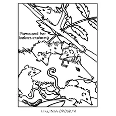 Possums Playing With Kids Coloring Pages