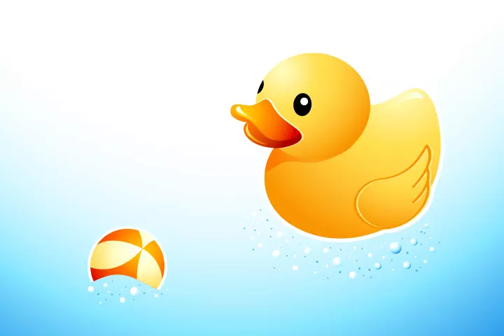 Duck Activities - Swimming Duck