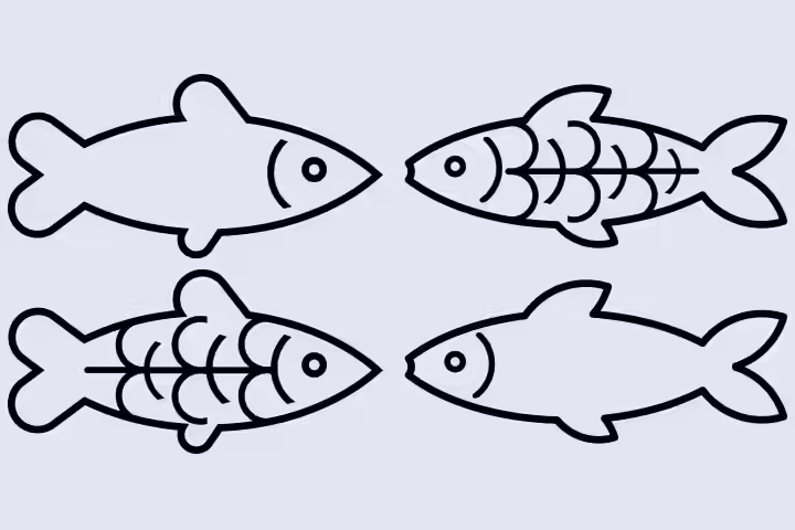 Fish Craft Ideas - X-Ray Fish