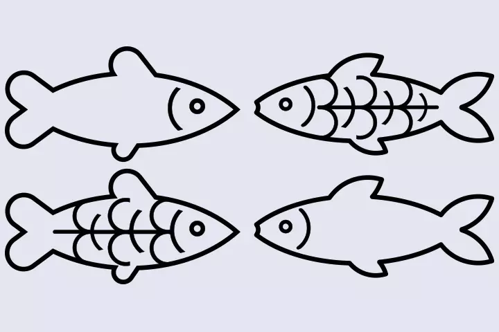 Fish Craft Ideas - X-Ray Fish