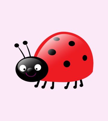 10 Beautiful Ladybug Craft Ideas For Preschoolers