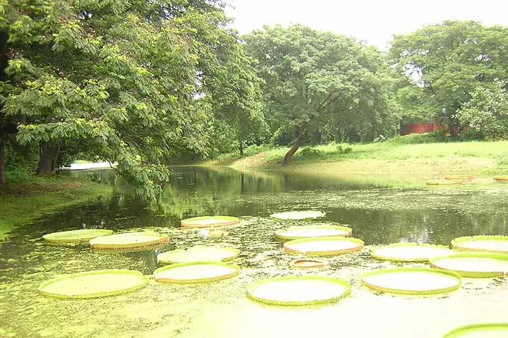 J. C. Bose Indian Botanic Garden, Amusement parks in Kolkata for kids