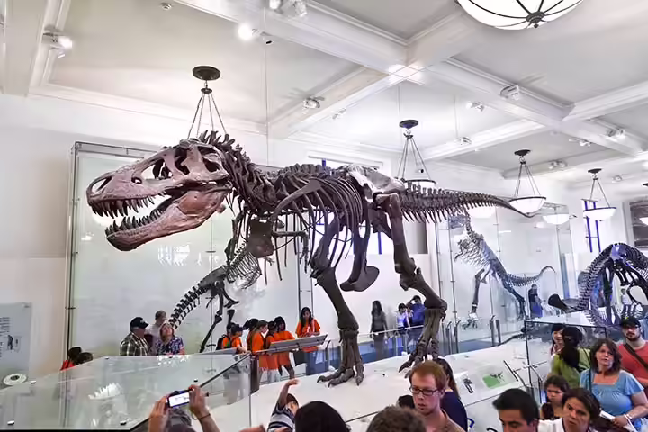 Dinosaur Activities For Preschoolers - Dinosaur Museum Dinosaur Activities For Preschoolers - Dinosaur Museum
