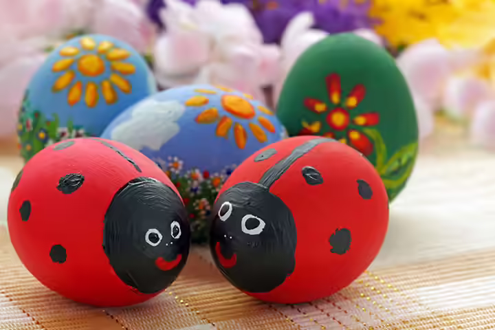 Ladybug Craft - Eggs Ladybug