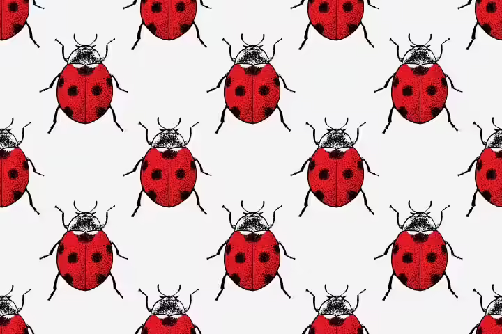 Ladybug Craft - Handprint Ladybug
