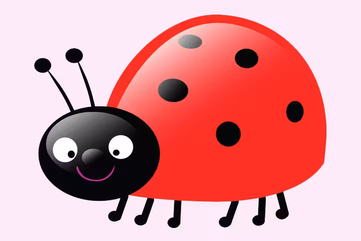 Ladybug Craft 