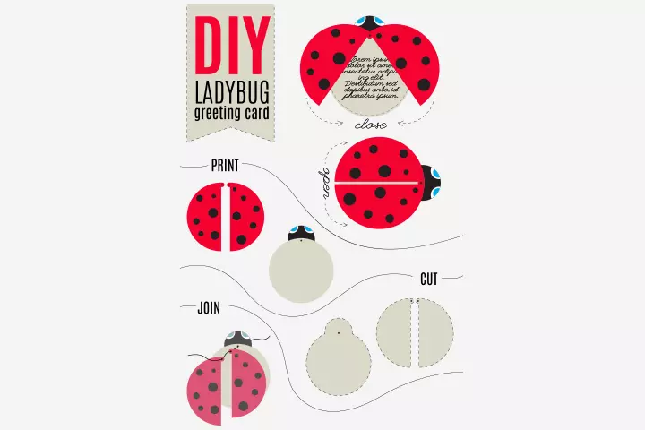 Ladybug Craft - Ladybug Greeting Card