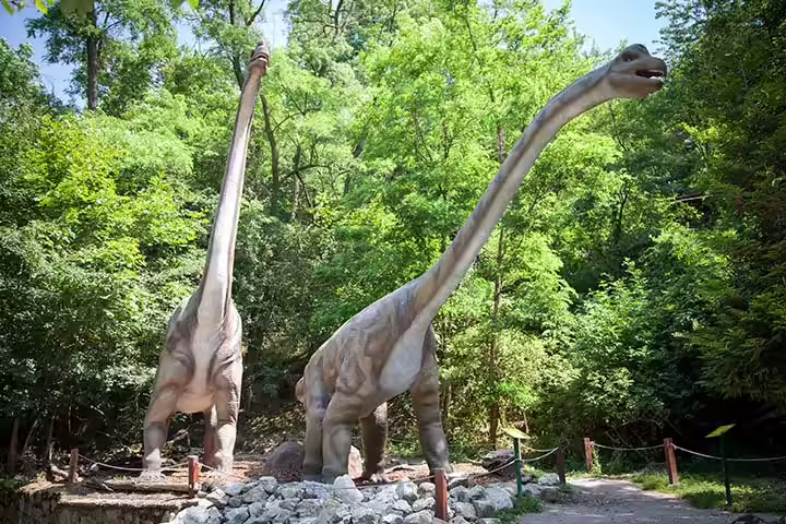 Dinosaur Activities For Preschoolers - Measuring With The Dinosaur Dinosaur Activities For Preschoolers - Measuring With The Dinosaur