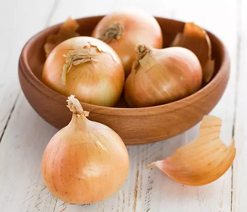 Onions