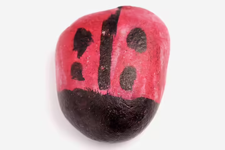 Ladybug Craft - Rock Painted Ladybug