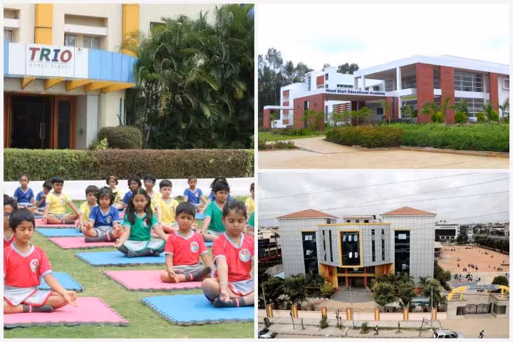 Best Schools In South Bangalore Schools In South Bangalore Images
