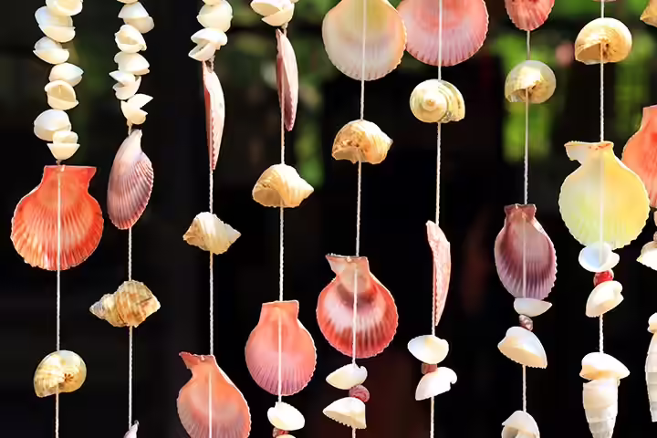 Sea Animal Crafts - Sea Shell Curtain Sea Animal Crafts - Sea Shell Curtain