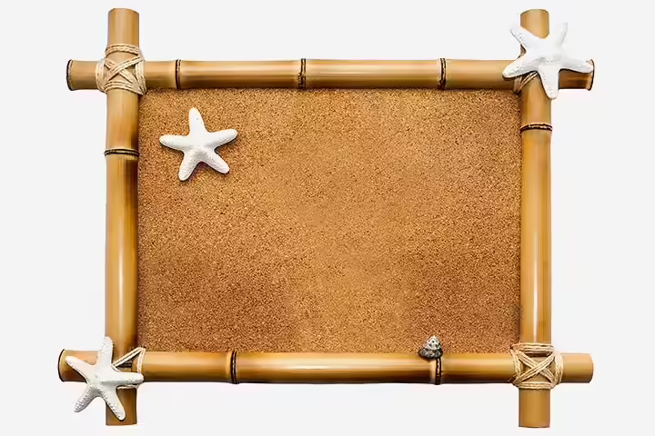 Sea Animal Crafts - Star Fish Frame Art Sea Animal Crafts - Star Fish Frame Art