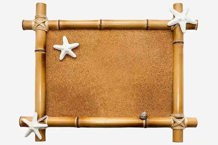 Sea Animal Crafts - Star Fish Frame Art