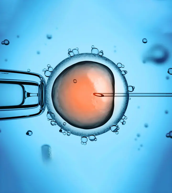 What Is IVF (In Vitro Fertilization ) And What Are The Risks? _image