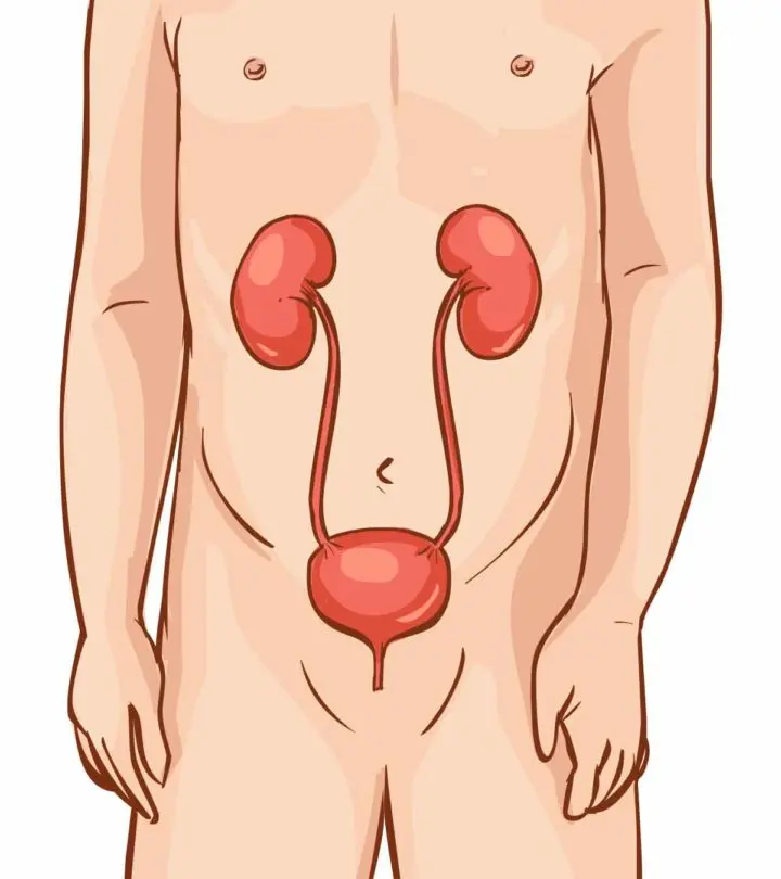 Nephrotic Syndrome In Children - Causes, Symptoms & Treatment