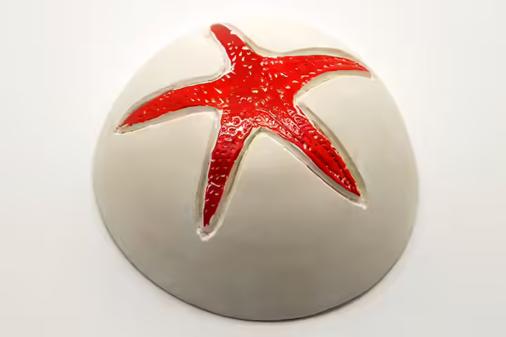 Starfish Craft - Plaster Colored Starfish Craft Starfish Craft - Plaster Colored Starfish Craft