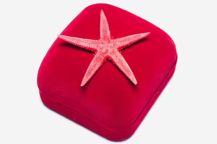 Starfish Craft - Starfish Gift Box Topper Starfish Craft - Starfish Gift Box Topper