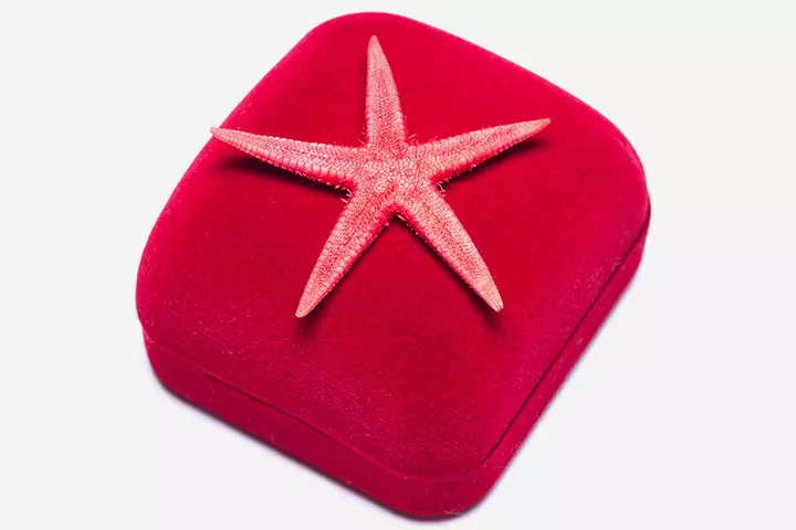 Starfish Craft - Starfish Gift Box Topper