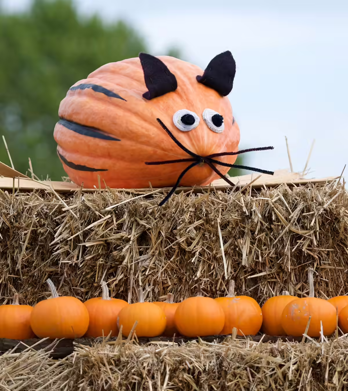 Top 7 Mouse Crafts For Preschoolers