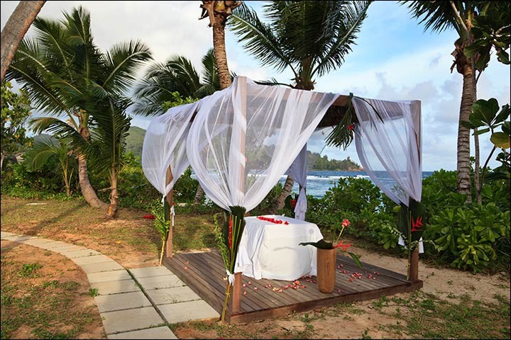 Wedding-Altar-Decorations-Tropical-Paradise