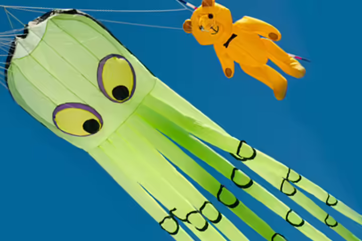Octopus Craft - Octopus Kite Craft