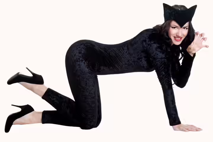 Catwoman Costumes Fancy Dress For Teens With Pictures Catwoman Costumes Fancy Dress For Teens With Pictures