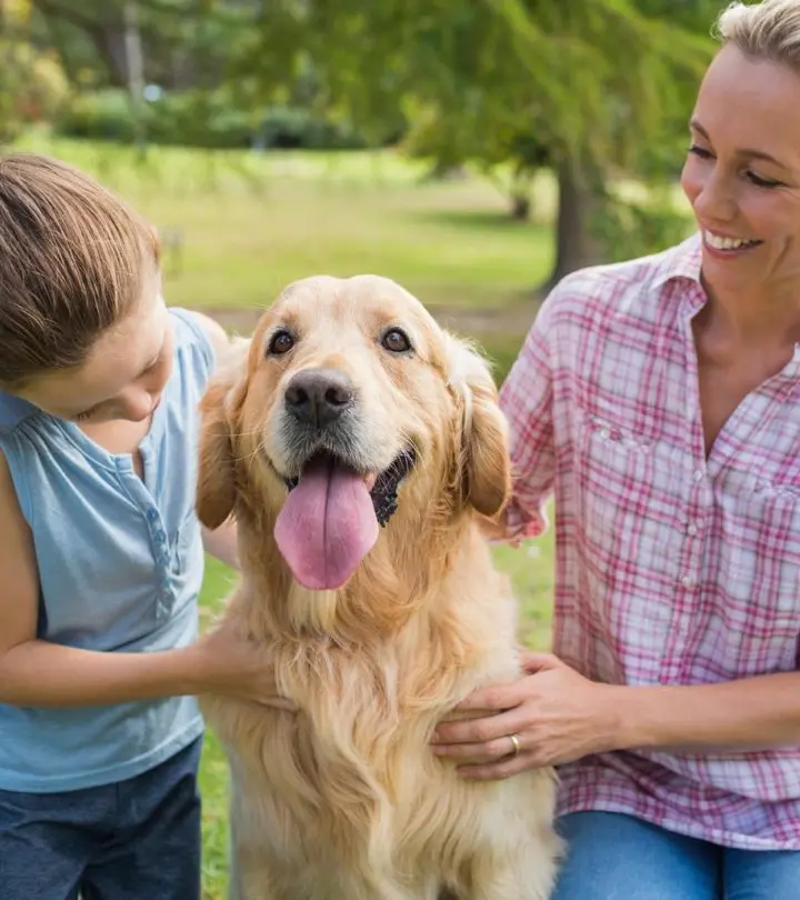 71 Interesting Facts About Dogs To Share With Kids