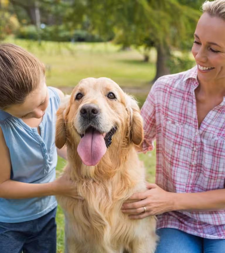71 Interesting Facts About Dogs To Share With Kids