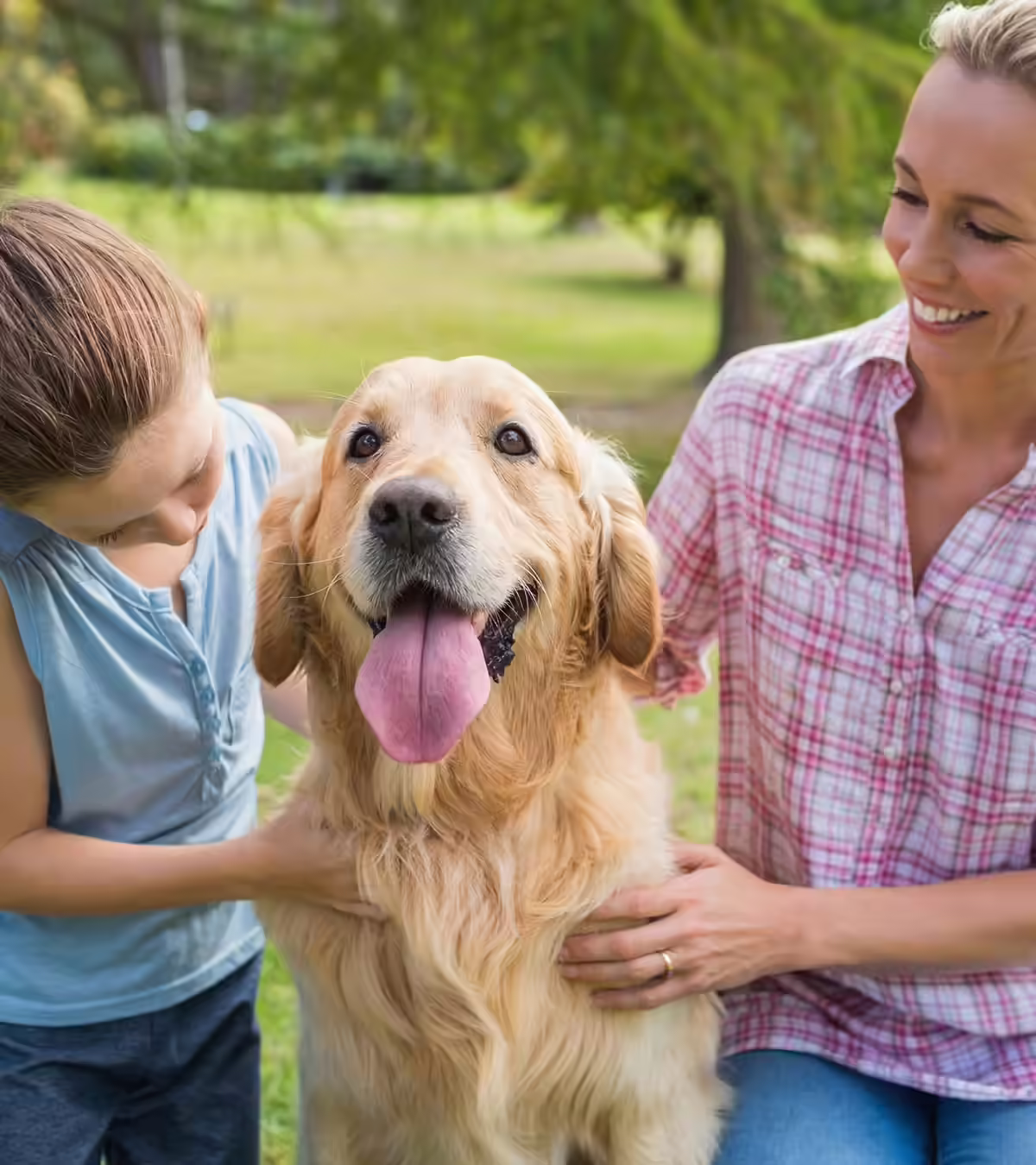 71 Interesting Facts About Dogs To Share With Kids